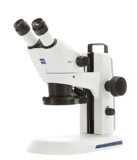 STEMI 305 (Stereo Zoom Microscope from Carl Zeiss)
