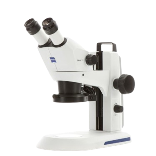 STEMI 305 (Stereo Zoom Microscope from Carl Zeiss)