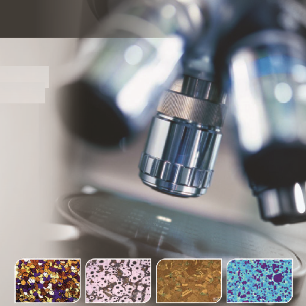 Metallurgical Image Analysis System in India