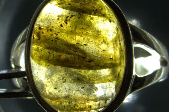 Labradorite  acquired with transmitted light